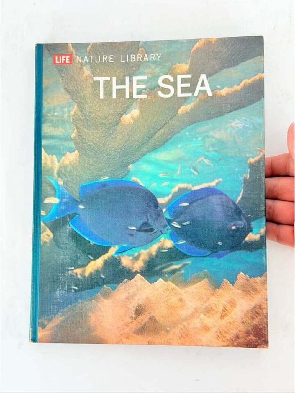 Life Nature Library: The Sea Hardcover Book
